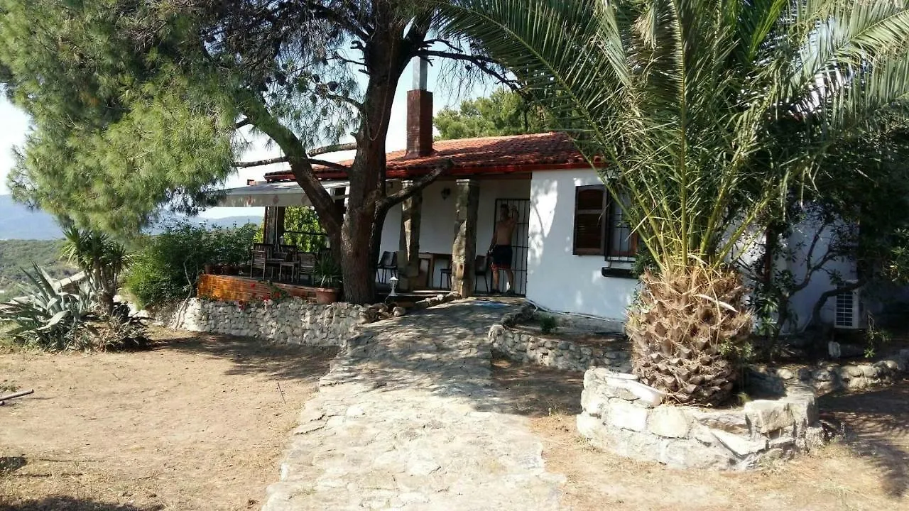 Villa Athos Sarti Ferienhaus